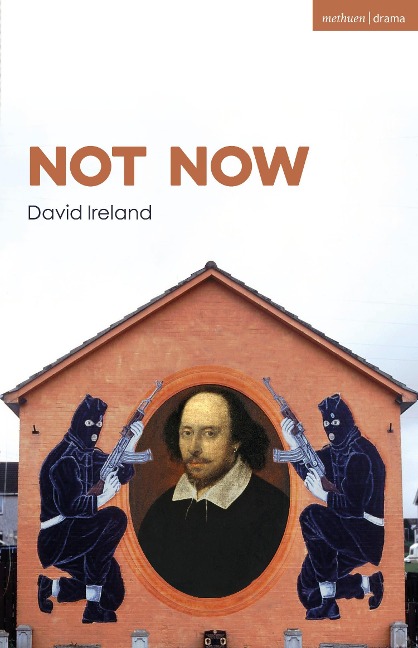 Not Now - David Ireland