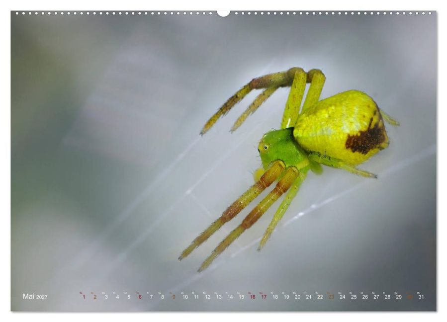 InsideView 10