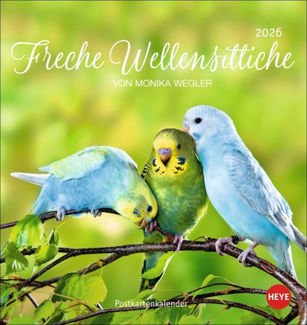 Freche Wellensittiche Postkartenkalender 2026 - 