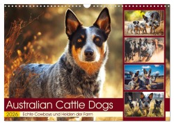 Australian Cattle Dogs. Echte Cowboys und Helden der Farm (Wandkalender 2026 DIN A3 quer), CALVENDO Monatskalender - Rose Hurley