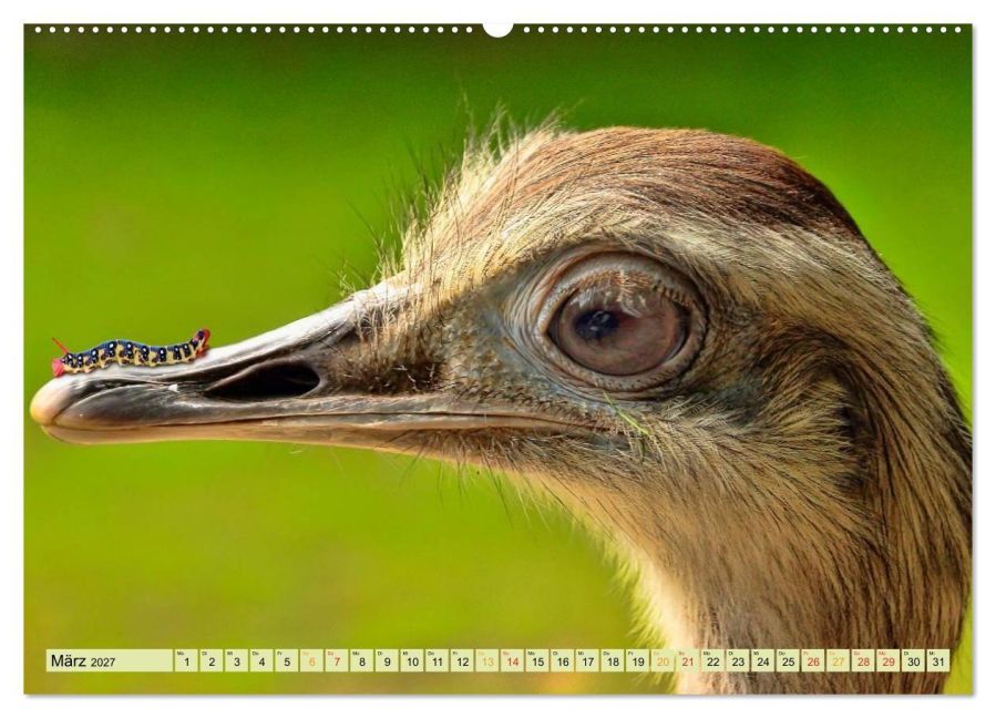 InsideView 7