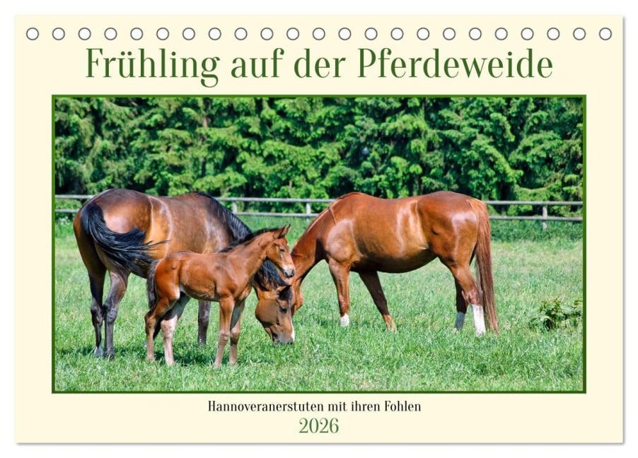 Frühling auf der Pferdeweide (Tischkalender 2026 DIN A5 quer), CALVENDO Monatskalender - Claudia Kleemann