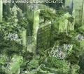Cover-Bild zum Titel 'Green Apocalypse' von 'Yom & Wang Li'