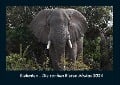 Elefanten - Die sanften Riesen Afrikas 2024 Fotokalender DIN A4 - Tobias Becker