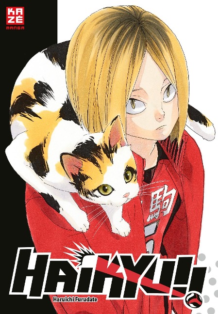 Haikyu!! Sammelbox 3 - Band 21-30 im Schuber - Haruichi Furudate