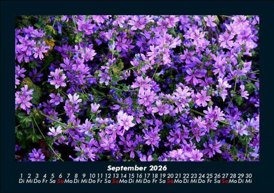 InsideView 1