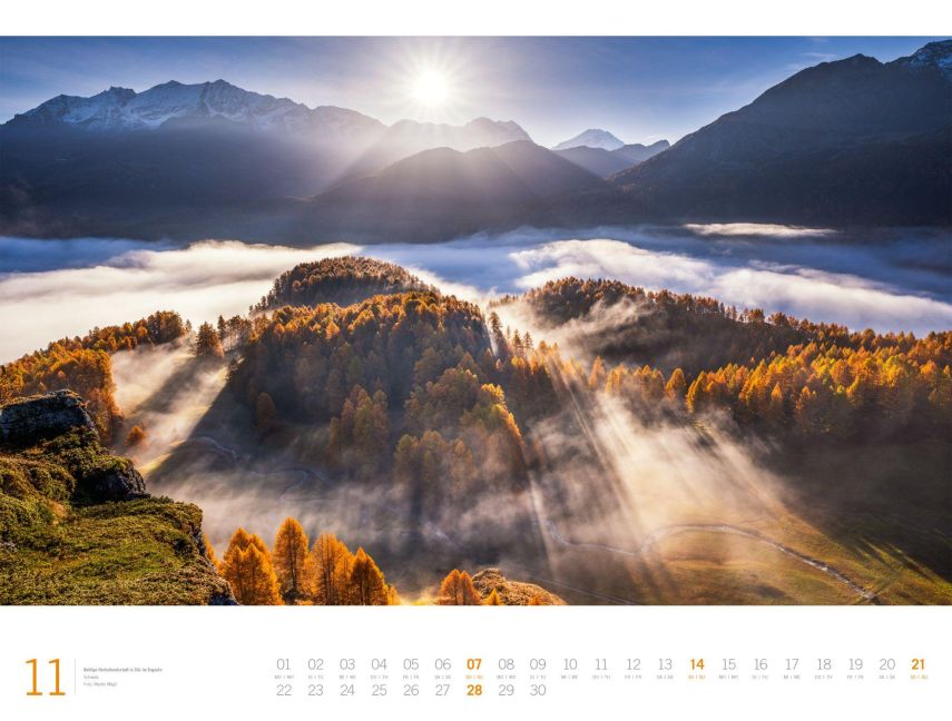 InsideView 11