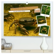 Cover-Bild zum Titel 'Reges Leben im Naturweiher - Tiere über und unter Wasser (hochwertiger Premium Wandkalender 2026 DIN A2 quer), Kunstdruck in Hochglanz' von 'Martina Marten'