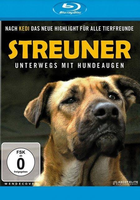 Streuner - Unterwegs mit Hundeaugen - Elizabeth Lo