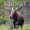 Rocky Mountain Wildlife 2025 12 X 12 Wall Calendar - Willow Creek Press