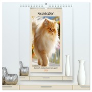 Perserkatzen. Zauberhafte Langhaar-Divas in Szene gesetzt (hochwertiger Premium Wandkalender 2026 DIN A2 hoch), Kunstdruck in Hochglanz - Rose Hurley