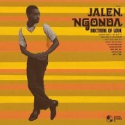 Cover-Bild zum Titel 'Doctrine Of Love' von 'Jalen Ngonda'