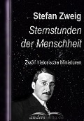 Cover-Bild zum Titel 'Sternstunden der Menschheit' von 'Stefan Zweig'