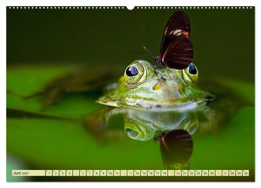 InsideView 10