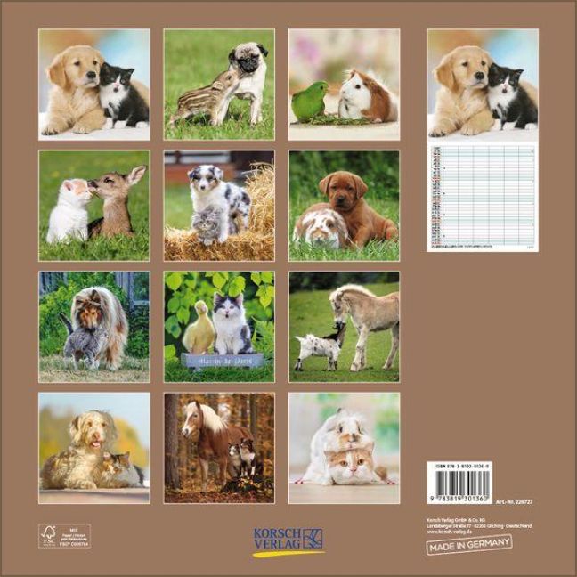 InsideView 13