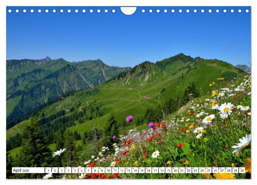InsideView 9