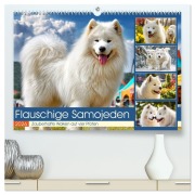 Flauschige Samojeden. Zauberhafte Wolken auf vier Pfoten (hochwertiger Premium Wandkalender 2026 DIN A2 quer), Kunstdruck in Hochglanz - Rose Hurley