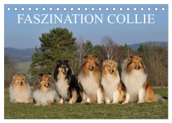 Cover-Bild zum Titel 'Faszination Collie 2026 (Tischkalender 2026 DIN A5 quer), CALVENDO Monatskalender' von 'Sigrid Starick'