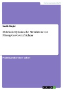 Cover-Bild zum Titel 'Molekulardynamische Simulation von Flüssig-Gas-Grenzflächen' von 'Sadik Mejid'