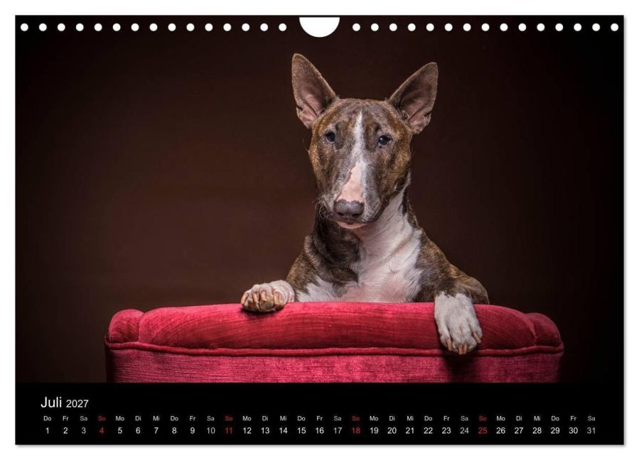 InsideView 12
