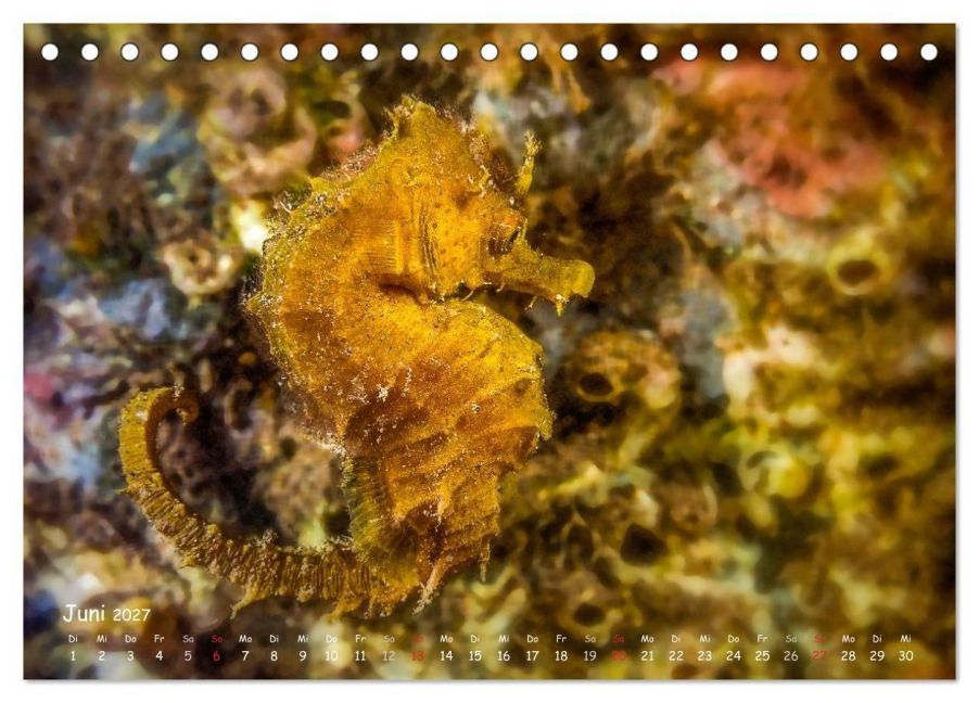 InsideView 11