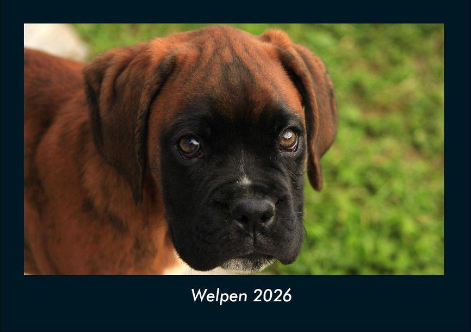 Welpen 2026 Fotokalender DIN A4 - Tobias Becker