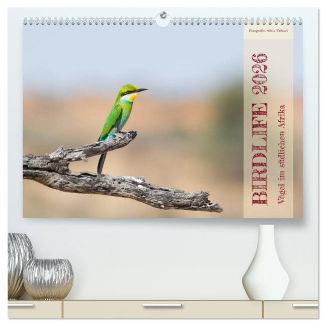 Birdlife - Vögel im südlichen Afrika (hochwertiger Premium Wandkalender 2026 DIN A2 quer), Kunstdruck in Hochglanz - Silvia Trüssel