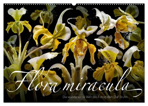 Flora miracula - Die wundersame Welt des Fotografen Olaf Bruhn (Wandkalender 2024 DIN A2 quer), CALVENDO Monatskalender - Olaf Bruhn