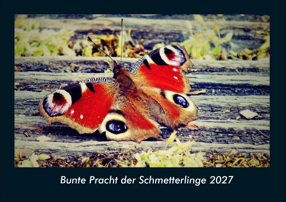 Bunte Pracht der Schmetterlinge 2027 Fotokalender DIN A4 - Tobias Schmitt, Kevin Heber