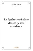 Cover-Bild zum Titel 'Le Système capitaliste dans la pensée marxienne' von 'Malao Kanté'