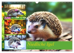 Cover-Bild zum Titel 'Niedliche Igel (Wandkalender 2026 DIN A3 quer), CALVENDO Monatskalender' von 'Steffani Lehmann'
