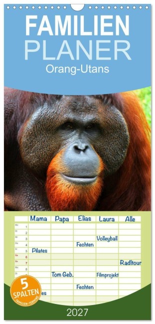 Familienplaner 2027 - Orang-Utans mit 5 Spalten (Wandkalender, 21 x 45 cm) CALVENDO - Elisabeth Stanzer