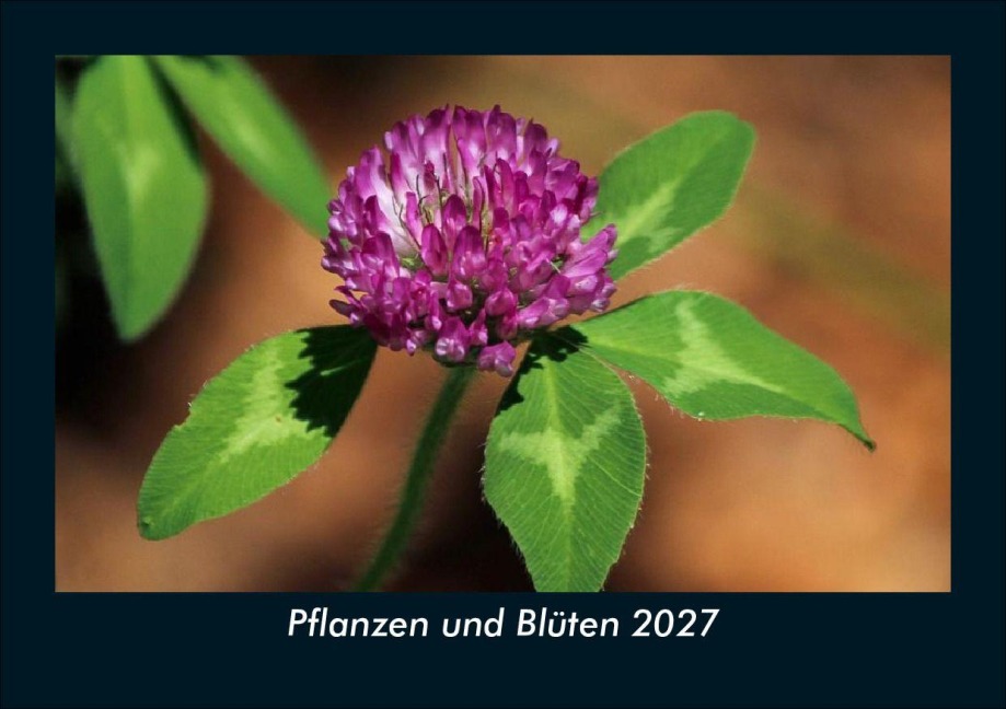 Pflanzen und Blüten 2027 Fotokalender DIN A5 - Tobias Schmitt, Kevin Heber