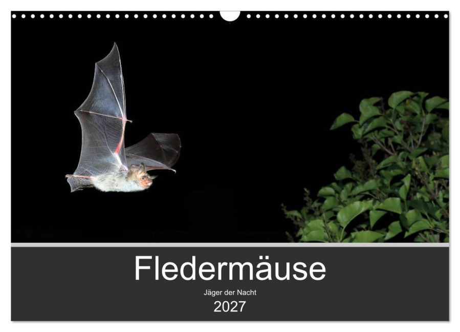 Fledermäuse - Jäger der Nacht (Wandkalender 2027 DIN A3 quer), CALVENDO Monatskalender - Otto Schäfer