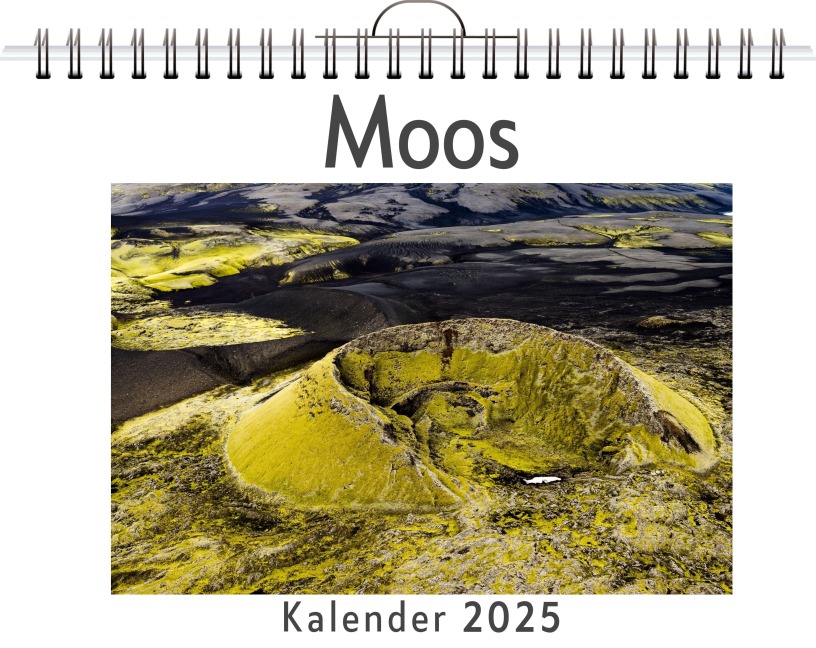 Moos - (Wandkalender 2025, Kalender DIN A4 quer, Monatskalender im Querformat mit Kalendarium, das perfekte Geschenk) - Ava Fischer