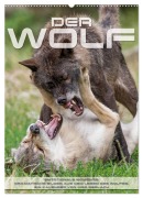 Emotionale Momente: Der Wolf. (Wandkalender 2026 DIN A2 hoch), CALVENDO Monatskalender - Ingo Gerlach