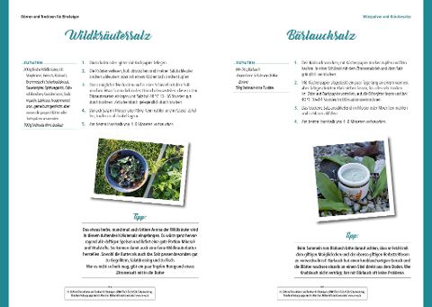 InsideView 8