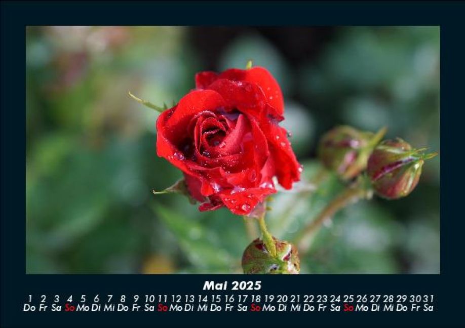 InsideView 9