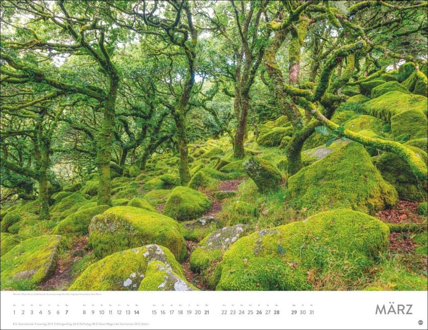 InsideView 3