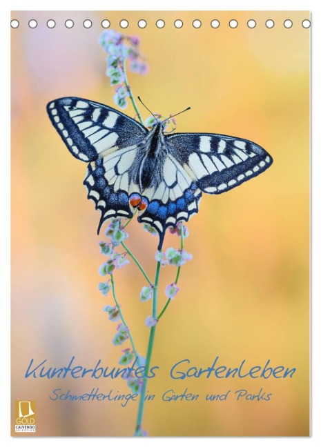 Kunterbuntes Gartenleben - Schmetterlinge in Gärten und Parks (Tischkalender 2026 DIN A5 hoch), CALVENDO Monatskalender - Thomas Marth
