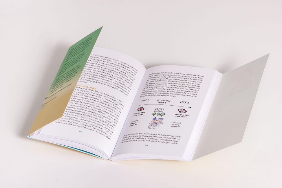 InsideView 5