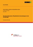 Cover-Bild zum Titel 'Das Georadarsystem. Physikalische Anwendungen in der Archäologie' von 'Pascal Wodtke'