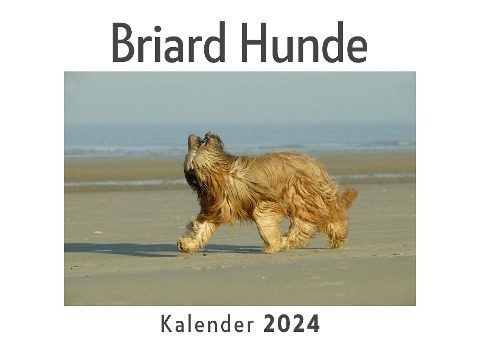 Briard Hunde (Wandkalender 2024, Kalender DIN A4 quer, Monatskalender im Querformat mit Kalendarium, Das perfekte Geschenk) - Anna Müller