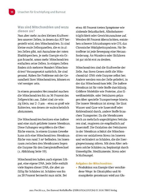 InsideView 13