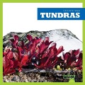 Cover-Bild zum Titel 'Tundras' von 'Nadia Higgins'