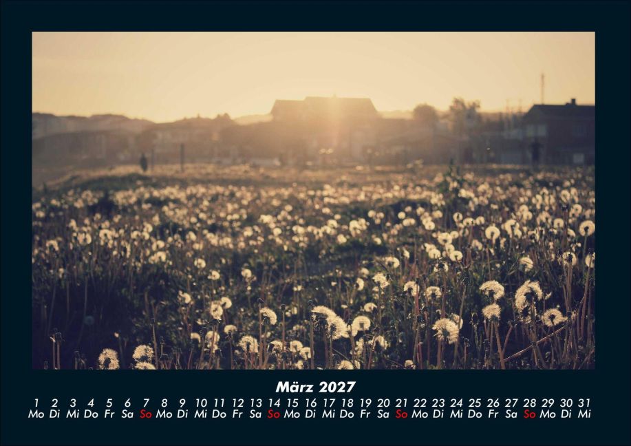 InsideView 7