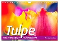 TULPE Farbenprächtige Frühlingsbotin (Wandkalender 2025 DIN A4 quer), CALVENDO Monatskalender - Bernd Maertens