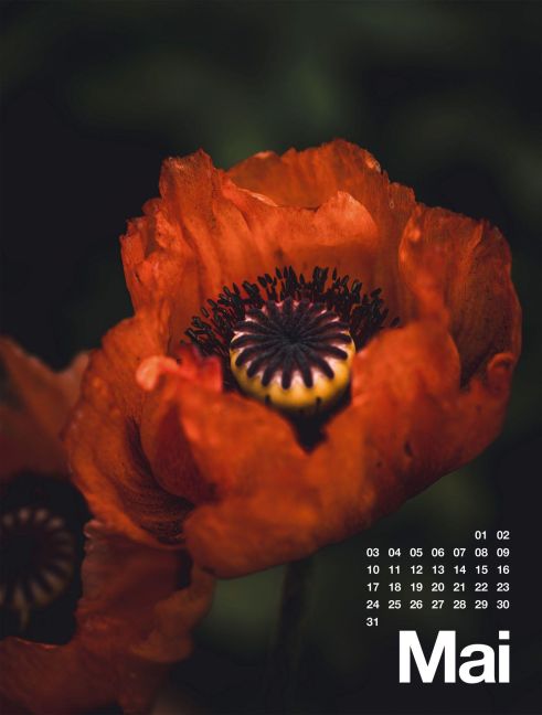 InsideView 5