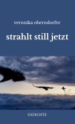 Cover-Bild zum Titel 'strahlt still jetzt' von 'Veronika Oberndorfer'