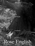 Cover-Bild zum Titel 'Plötzlich in Pracht beginnen' von 'Rose English'